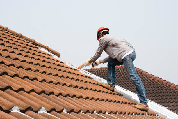 Best Roof Insulation Installation  in Lake Ridge, VA