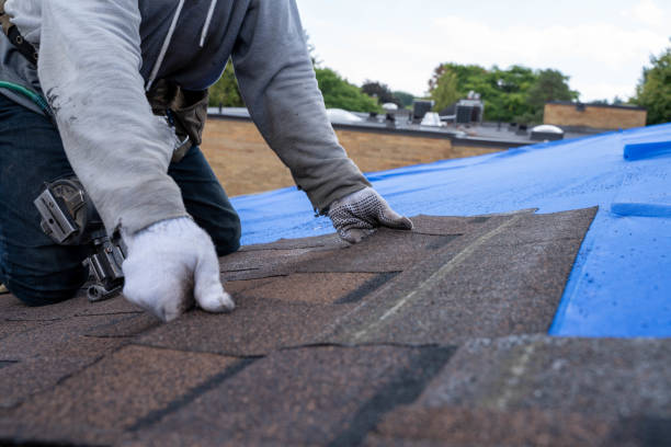 Best Commercial Roofing Services  in Lake Ridge, VA