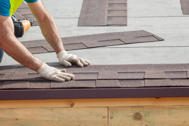 Best Sheet Metal Roofing  in Lake Ridge, VA