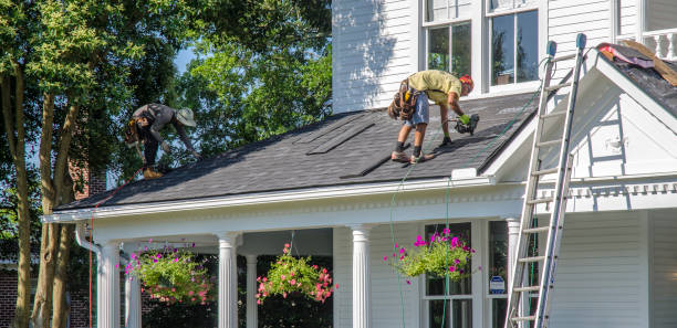 Best Gutter Installation and Repair  in Lake Ridge, VA